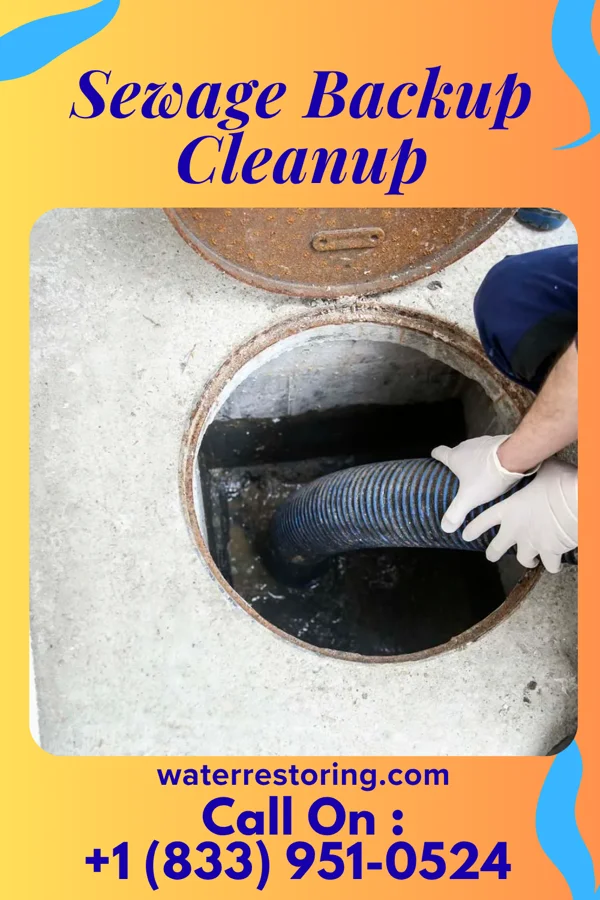 Sewage Backup Cleanup in Blaine, KY