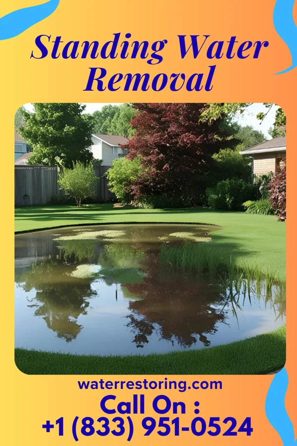Standing Water Removal in Blaine, KY